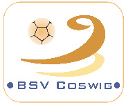 bsvcoswig